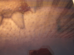 5735343759454129282