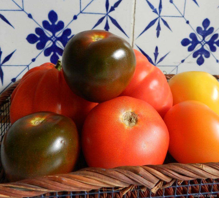 [tomates%2520multicolores%25202%255B8%255D.jpg]