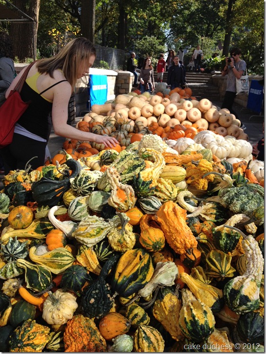 gourds gourds