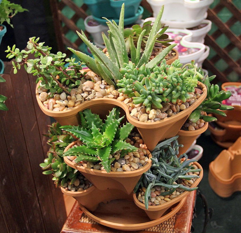 [120321_SF_Flower%252BGarden_Show_202%255B4%255D.jpg]