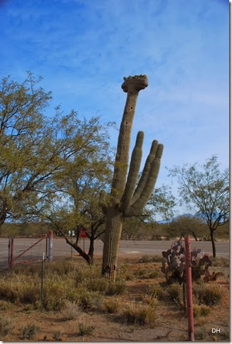01-09-14 Trip to Tubac (21) 01-09-14 Trip to Tubac (21)