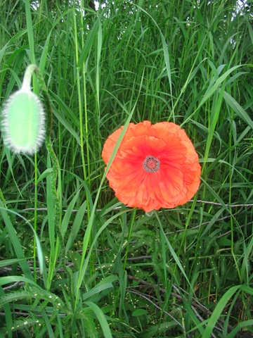 [IMG_8597%255B3%255D.jpg]