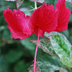 DSC_0095_03.JPG