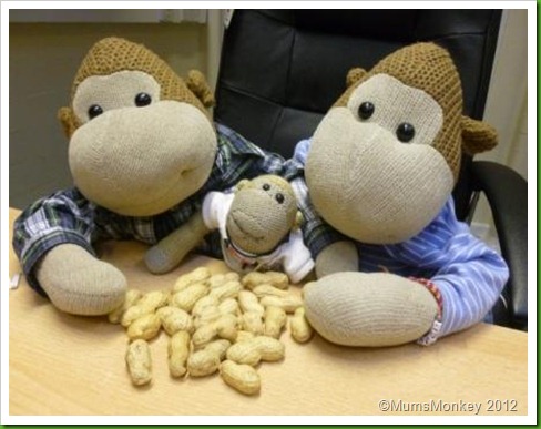 Festive Nuts Festive Nuts