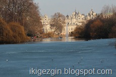 IMG_0871 IMG_0871