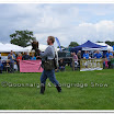 Cuerden Birds of Prey 018.jpg