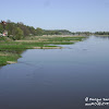 rz. Odra dsc06355.jpg