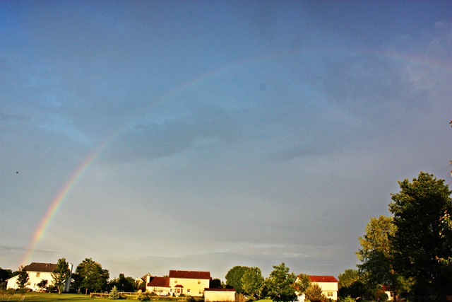 [IMG_2393%255B3%255D.jpg]