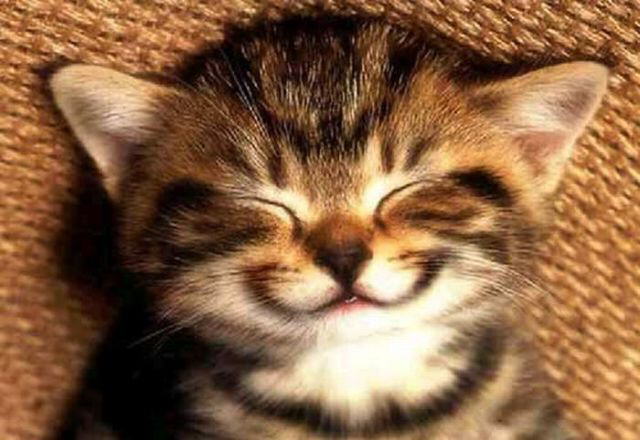 A great collection of positive emotions