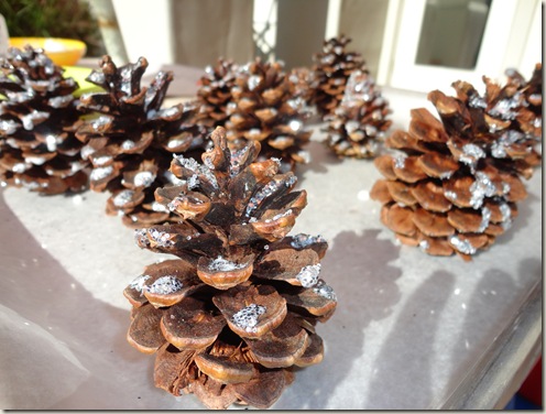 Christmas pine cones 011