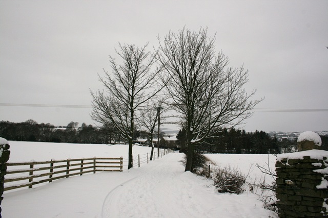 [IMG_4372%255B4%255D.jpg]