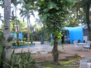 [IMG_4639%255B3%255D.jpg]