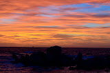 DSC_0506.JPG