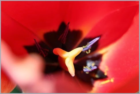 IMG_0056 IMG_0056
