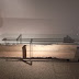 R0031074.JPG