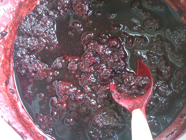 [DSC00351%255B2%255D.jpg]