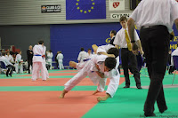 IMG_2246.jpg