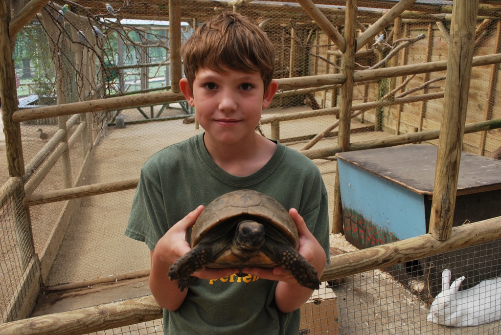 [DSC_0172%255B4%255D.jpg]