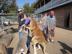 IMG_8715 IMG_8715