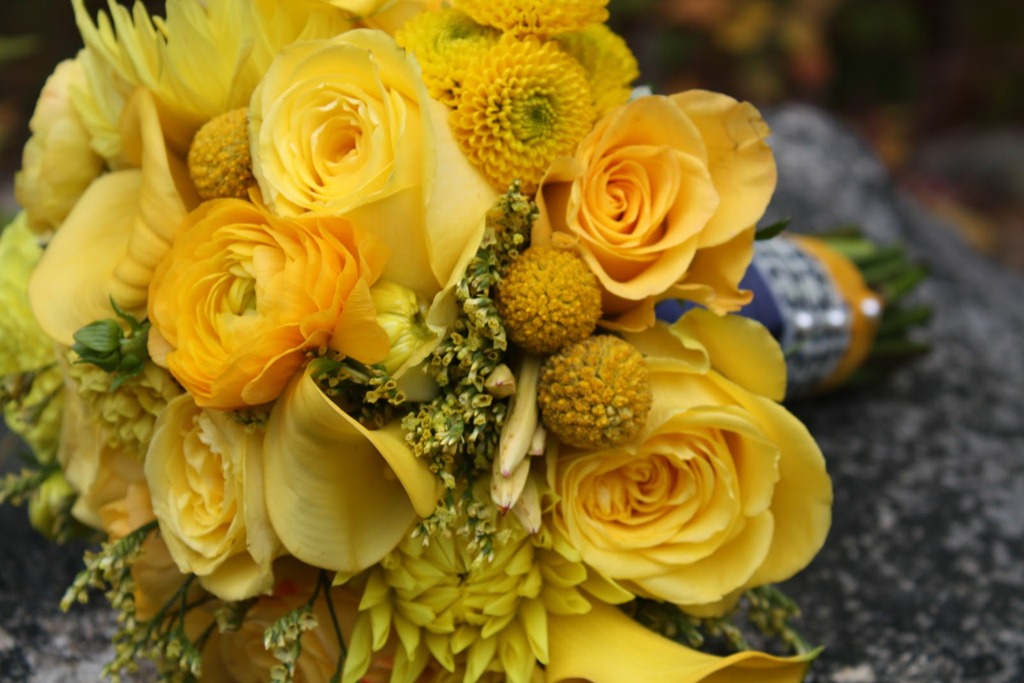 [IMG_0003-flora-fauna4.jpg]