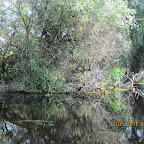 IMG_7632.JPG