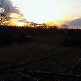 Turkey Hunt 2011