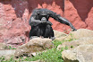 DSC_0275-1.JPG