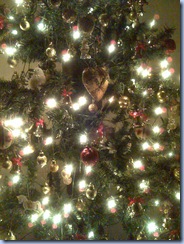 Christmas 2010 Pic