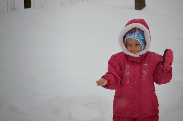 [DSC_0434%255B2%255D.jpg]