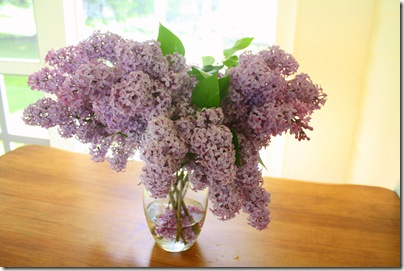 springlilacs