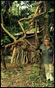 ayahuasca-w ayahuasca-w