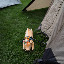 48er-2011-30-07-2011_17-16-32.jpg