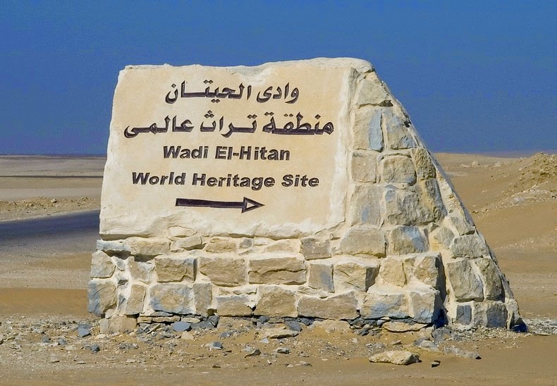 وادي الحيتان في مصر Wad-al-hitan-5%255B6%255D
