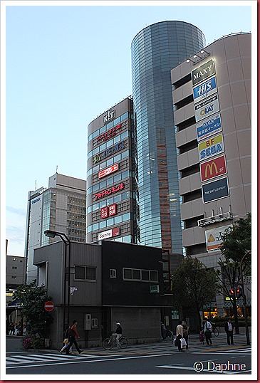 IMG_3358 IMG_3358