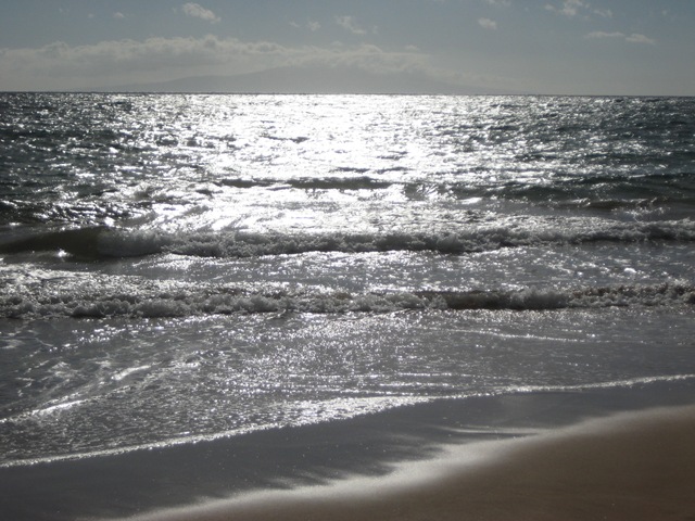 [IMG_2666%255B3%255D.jpg]