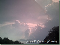 DSCF0304 DSCF0304