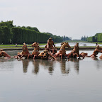DSC_0092.jpg