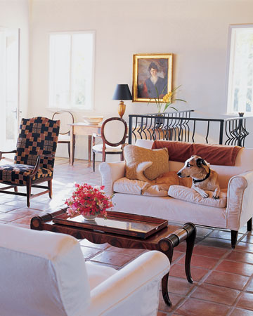 Agba, relaxes on a slipcovered sofa. (Martha Stewart Living)