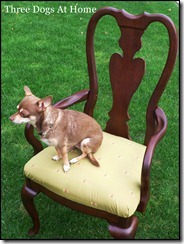chairs 009