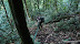 DSC04313.JPG
