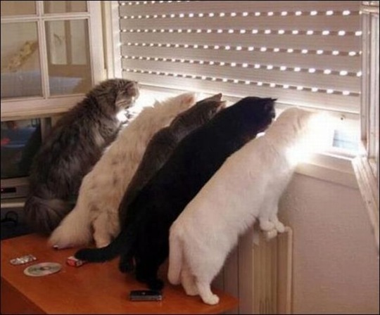[viral-picdump-pics-b6c0dc%255B2%255D.jpg]