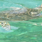 IMG_0425.JPG