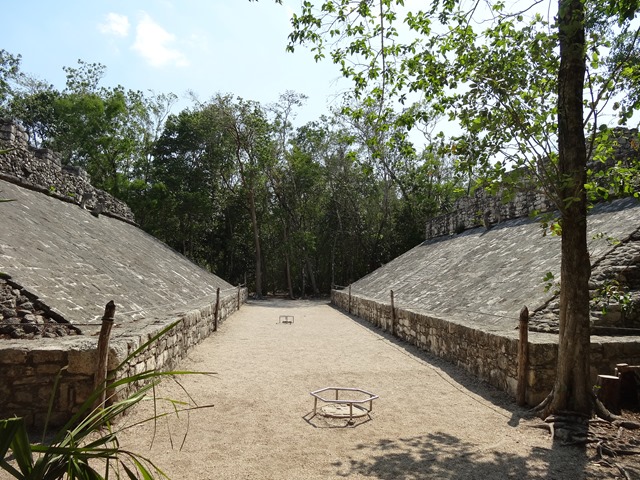 DSC03335 DSC03335