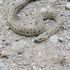 20080824-IMG_0327.jpg