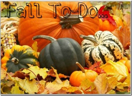 pumpkins_in_fall_leaves_card-p137606709913123576b21fb_400