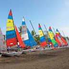 IMG_2970.JPG