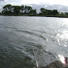 dsc03247.jpg