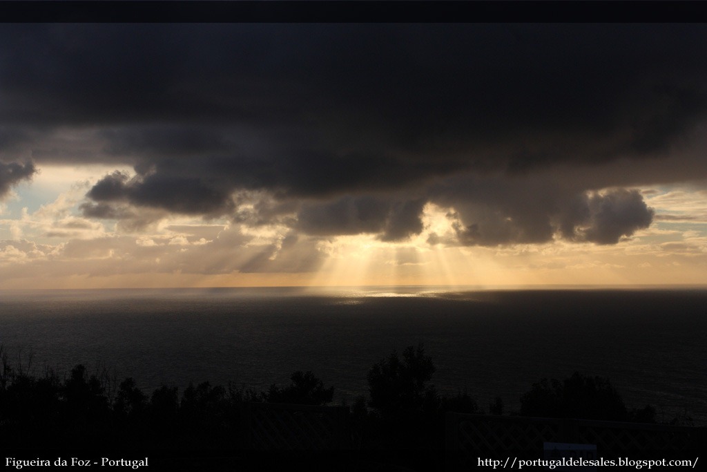 [IMG_4429%255B3%255D.jpg]