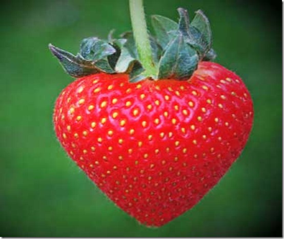 strawberry