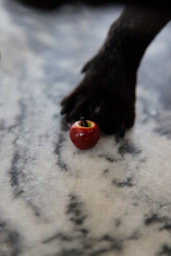 And a perfectly bite-sized apple.
